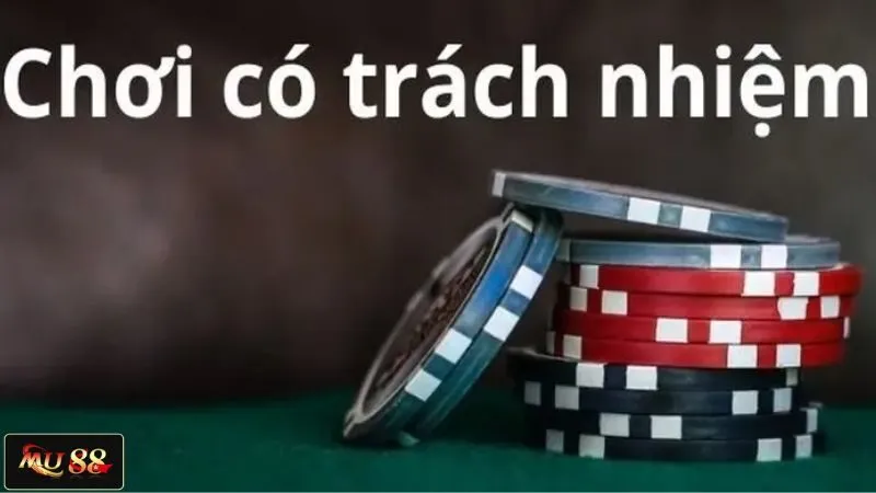 Hiểu về việc chơi có trách nhiệm Hiểu về việc chơi có trách nhiệm