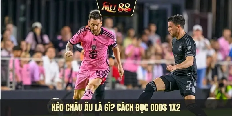 Kèo châu Âu là gì? Cách đọc odds 1X2 và phân biệt sự khác biệt với kèo châu Á