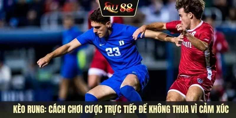 Kèo rung là gì? Cách chơi cược trực tiếp để không thua vì cảm xúc