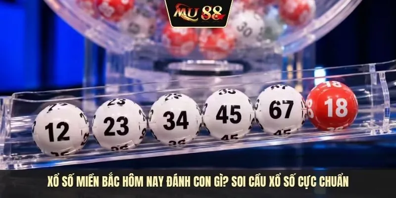 Xổ số miền Bắc hôm nay đánh con gì? Soi cầu xổ số cực chuẩn